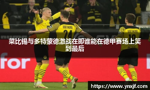菜比锡与多特蒙德激战在即谁能在德甲赛场上笑到最后
